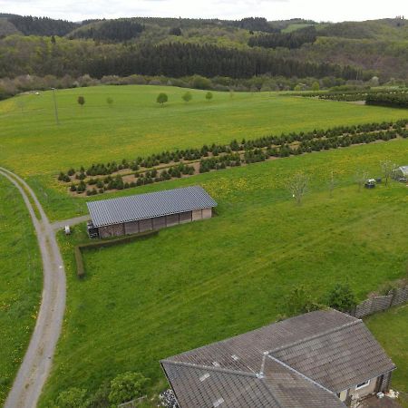 Ferienwohnung Zum Nuerburgring Munk 外观 照片